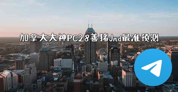 加拿大大神PC28善猪Jnd最准预测