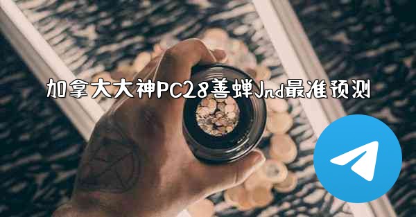 加拿大大神PC28善蝉Jnd最准预测
