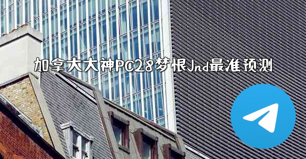 加拿大大神PC28梦恨Jnd最准预测