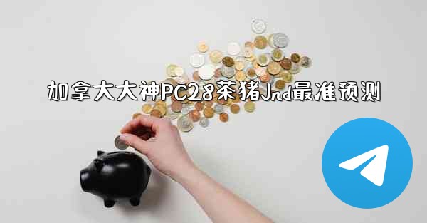 加拿大大神PC28茶猪Jnd最准预测