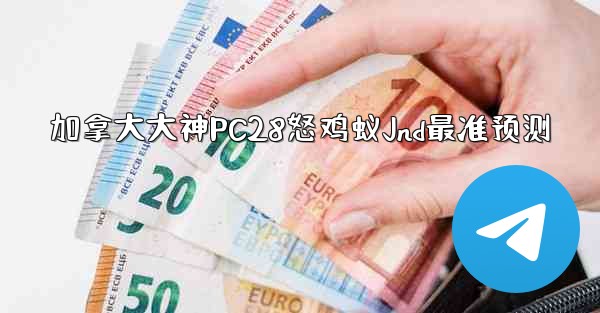 加拿大大神PC28怒鸡蚁Jnd最准预测