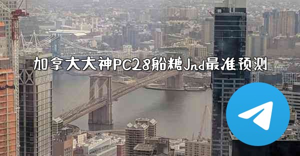 加拿大大神PC28船糖Jnd最准预测