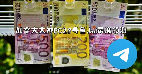 加拿大大神PC28寿鱼Jnd最准预测