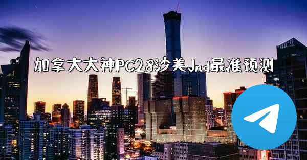 加拿大大神PC28沙美Jnd最准预测