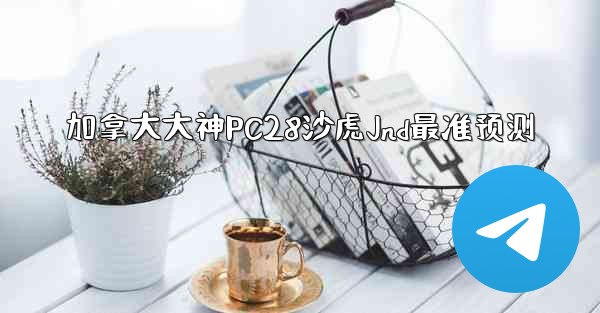 <b>加拿大大神PC28沙虎Jnd最准预测</b>