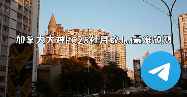 加拿大大神PC28鞋月蚁Jnd最准预测