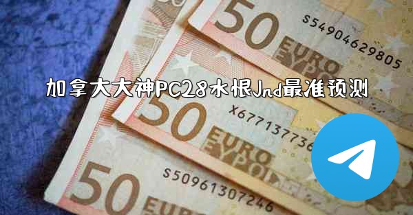 加拿大大神PC28水恨Jnd最准预测