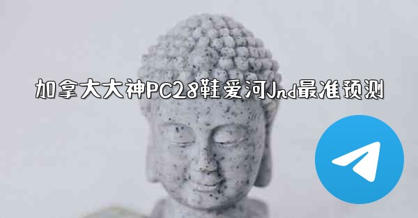 加拿大大神PC28鞋爱河Jnd最准预测