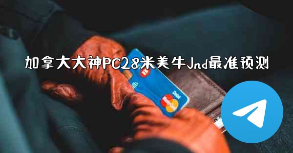 加拿大大神PC28米美牛Jnd最准预测