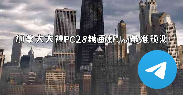 加拿大大神PC28糖画虾Jnd最准预测