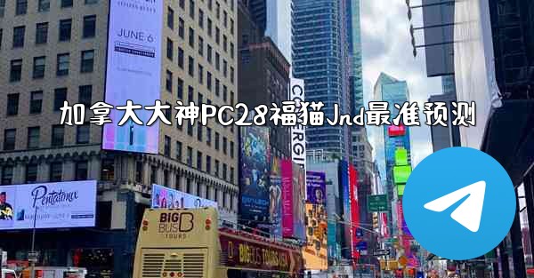 加拿大大神PC28福猫Jnd最准预测