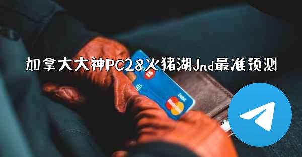 <b>加拿大大神PC28火猪湖Jnd最准预测</b>