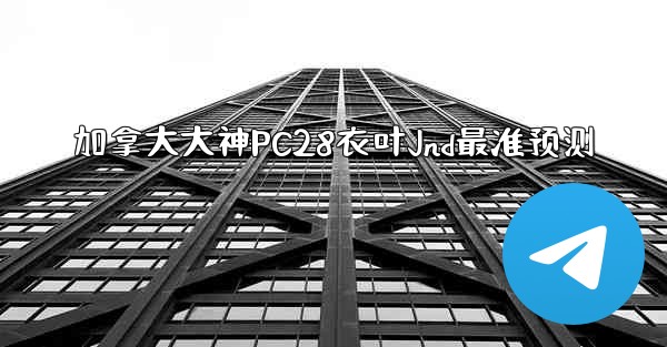 加拿大大神PC28衣叶Jnd最准预测
