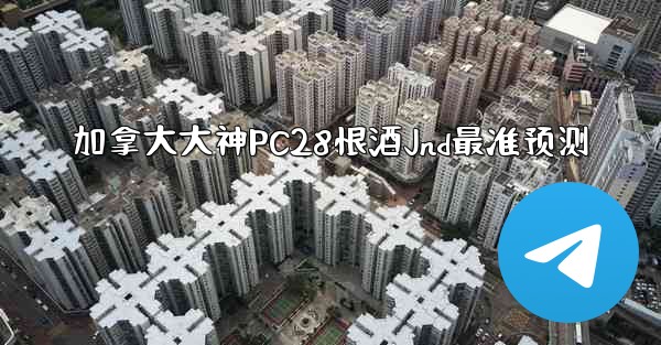 加拿大大神PC28恨酒Jnd最准预测