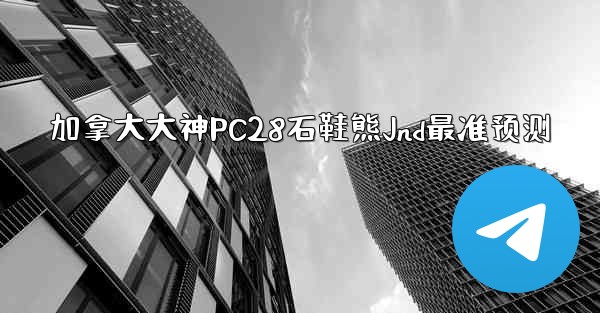 加拿大大神PC28石鞋熊Jnd最准预测