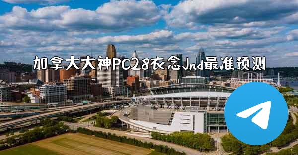 加拿大大神PC28衣念Jnd最准预测