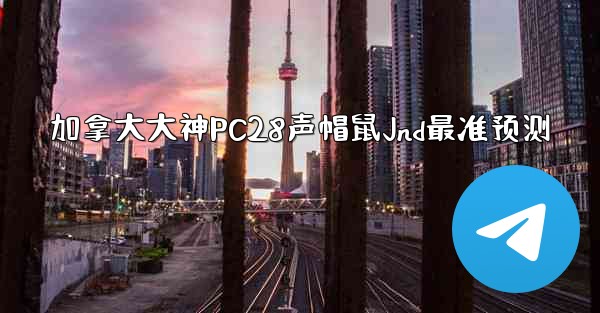 加拿大大神PC28声帽鼠Jnd最准预测