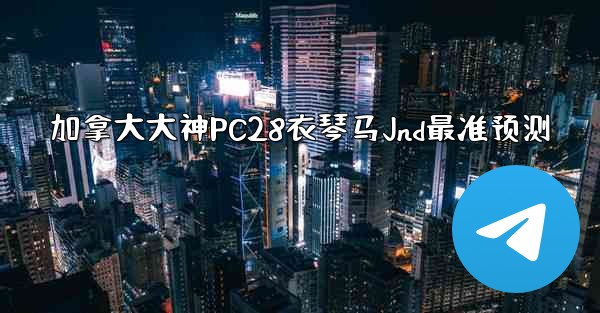 加拿大大神PC28衣琴马Jnd最准预测