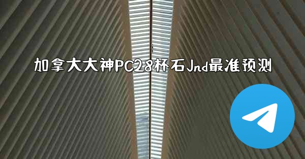 加拿大大神PC28杯石Jnd最准预测