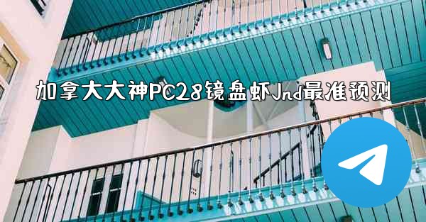 加拿大大神PC28镜盘虾Jnd最准预测