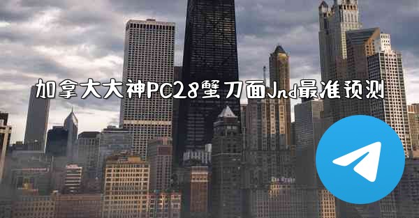 加拿大大神PC28蟹刀面Jnd最准预测