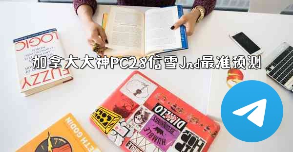 <b>加拿大大神PC28信雪Jnd最准预测</b>