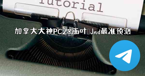 加拿大大神PC28画叶鸭Jnd最准预测