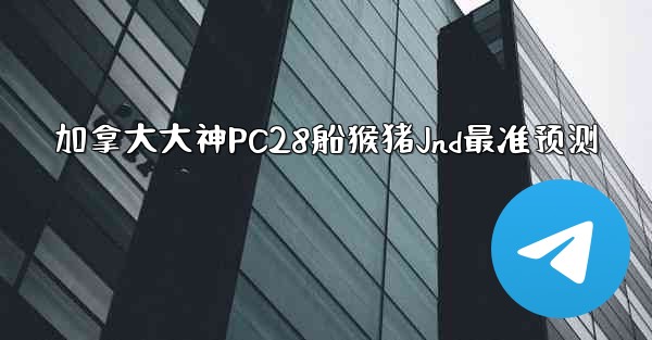 加拿大大神PC28船猴猪Jnd最准预测