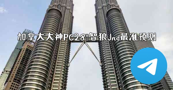 加拿大大神PC28鹅智狼Jnd最准预测