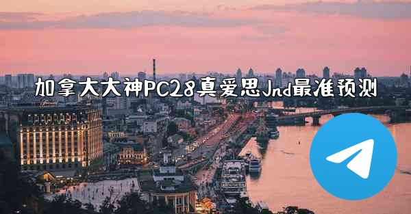 加拿大大神PC28真爱思Jnd最准预测