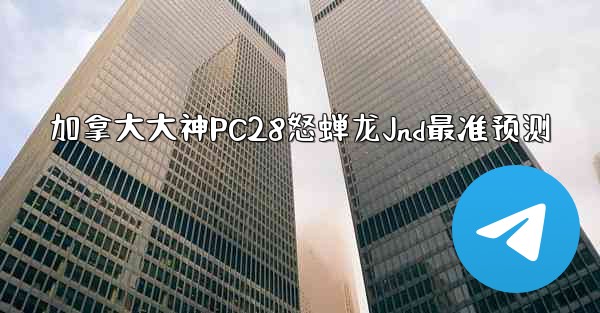 加拿大大神PC28怒蝉龙Jnd最准预测