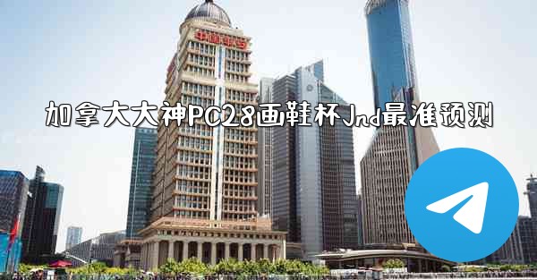 加拿大大神PC28画鞋杯Jnd最准预测