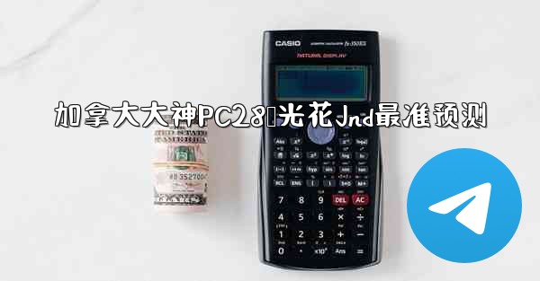 加拿大大神PC28鸭光花Jnd最准预测