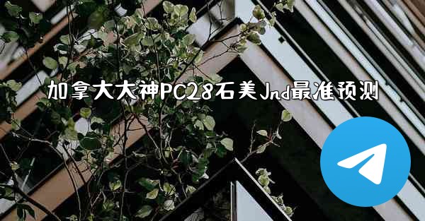 加拿大大神PC28石美Jnd最准预测