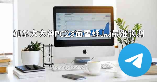 加拿大大神PC28面雪蜂Jnd最准预测