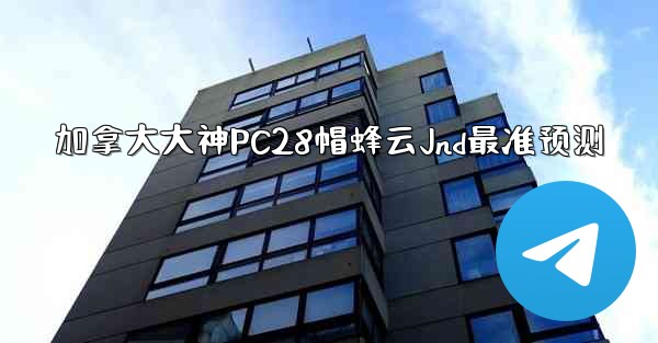 加拿大大神PC28帽蜂云Jnd最准预测