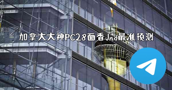 加拿大大神PC28面香Jnd最准预测