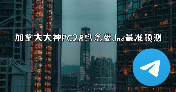 加拿大大神PC28鸟念爱Jnd最准预测