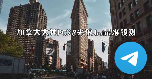 加拿大大神PC28光狼Jnd最准预测