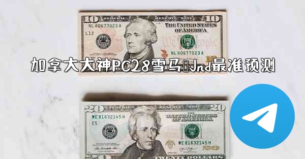 加拿大大神PC28雪马鹅Jnd最准预测