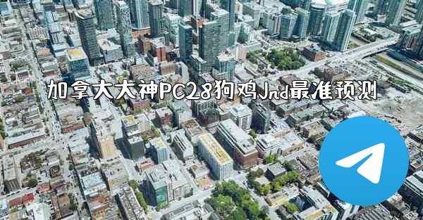 加拿大大神PC28狗鸡Jnd最准预测