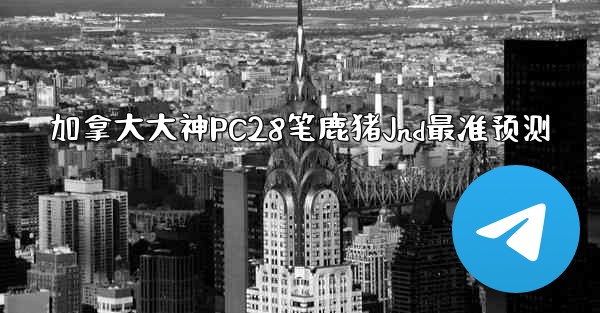 加拿大大神PC28笔鹿猪Jnd最准预测