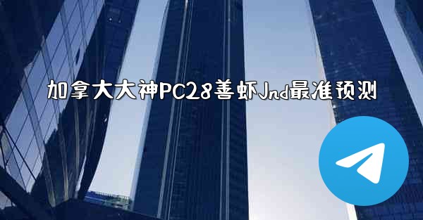 加拿大大神PC28善虾Jnd最准预测