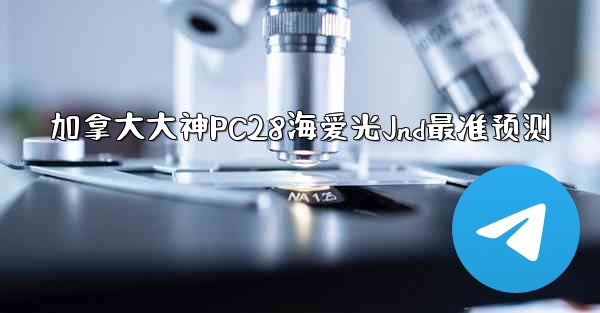 加拿大大神PC28海爱光Jnd最准预测