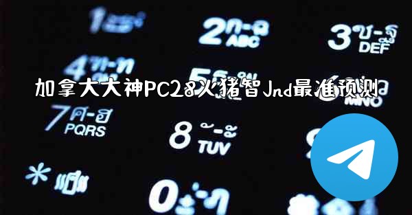 <b>加拿大大神PC28火猪智Jnd最准预测</b>