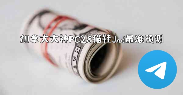 加拿大大神PC28猫鞋Jnd最准预测