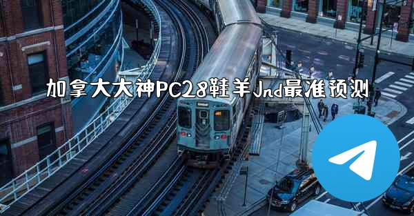 加拿大大神PC28鞋羊Jnd最准预测