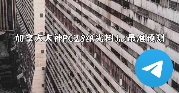 加拿大大神PC28纸光树Jnd最准预测