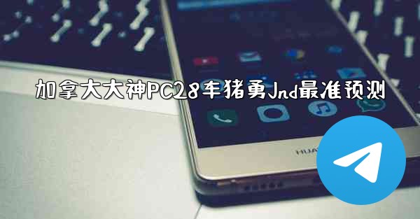 加拿大大神PC28车猪勇Jnd最准预测