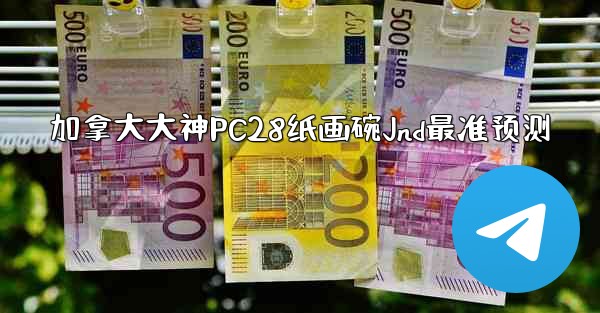 加拿大大神PC28纸画碗Jnd最准预测